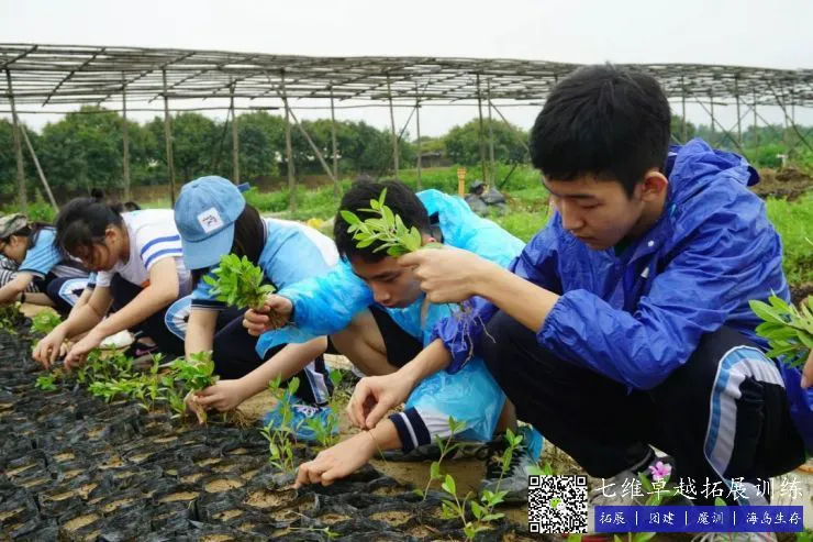 篮球训练法读后感怎么写_0